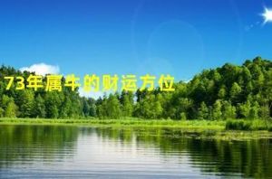 2024-2029：属牛狗兔运势飙升，财运事业双丰收！