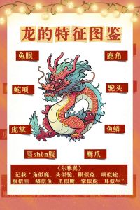 龙文化揭秘：祥瑞尊贵，龙年运势指南