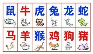 生肖运势大爆发：牛虎兔龙事业财运双丰收！