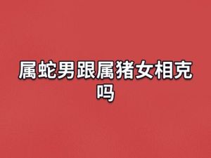 属蛇属猪情感沟通：神秘与直率的配对指数揭秘
