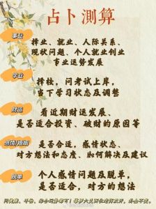 今日塔罗运势：爱情关系全面解析与建议