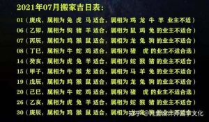 2025年四大属相运势飙升：龙鼠鸡猴福星高照