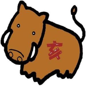 2025年生肖运势：属鼠龙蛇猪事业爱情丰收指南