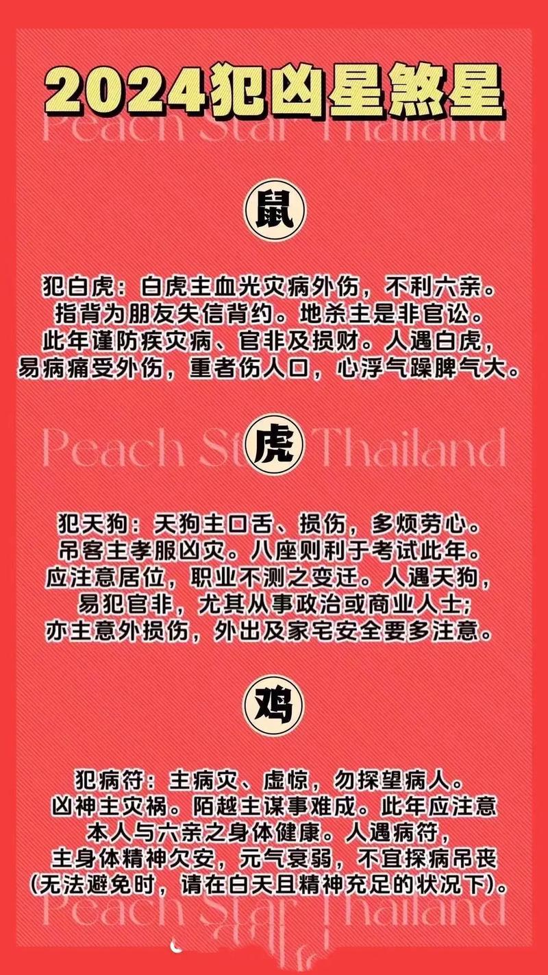2024生肖运势：机遇挑战并存，2025红火展望！