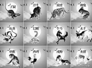 四大生肖：揭秘龙马猴猪成功秘诀