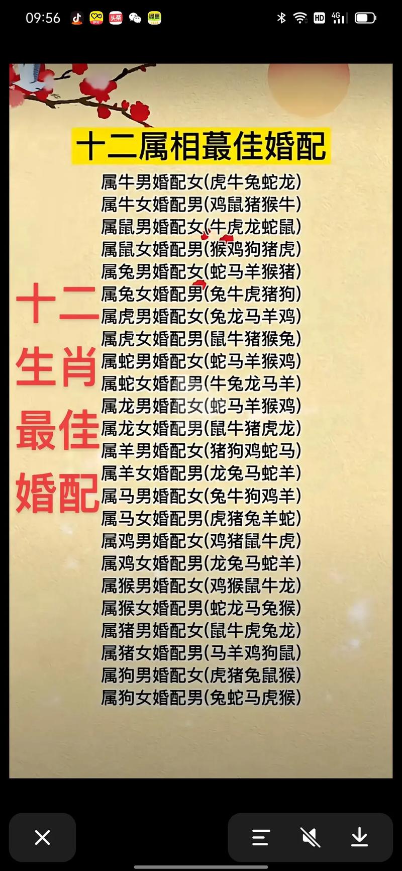生肖女性命运：鼠牛蛇猪的幸福智慧人生