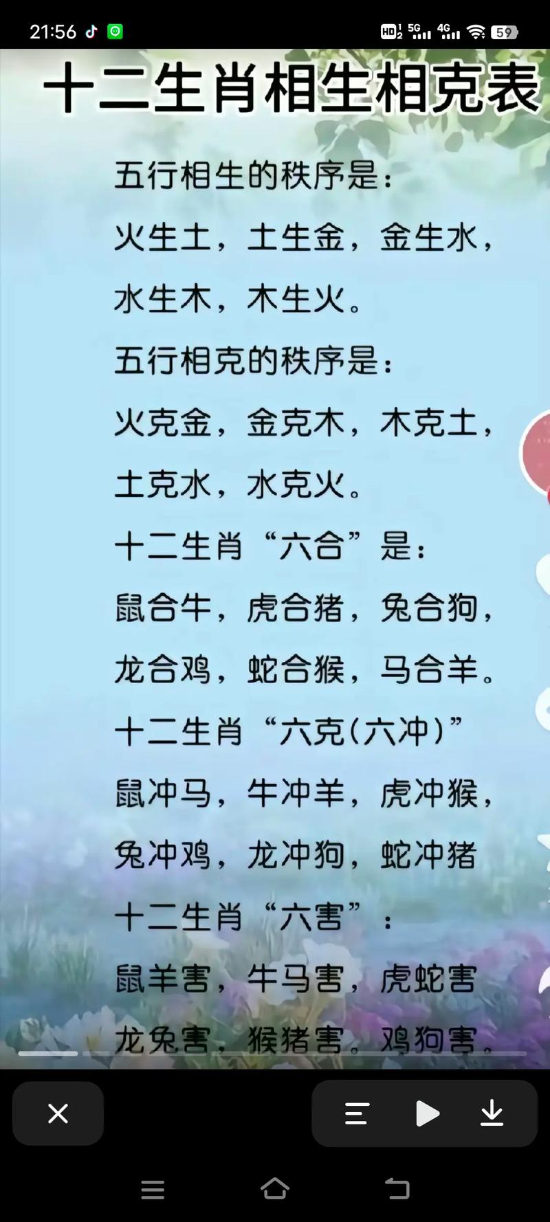 12月运势解析：生肖运势好坏盘点及调整建议