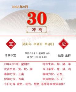 12月3日生肖运势指南：革新吉日各生肖行动策略