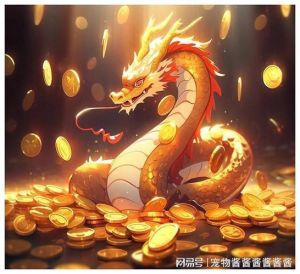 属龙好运年：鸡鼠猴猪，职场财富双丰收