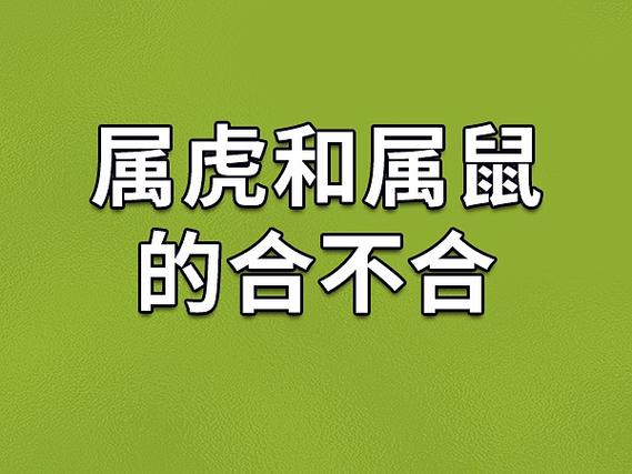2025生肖星座事业运势：属鼠巅峰属虎挑战，双子机遇！