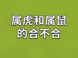 2025生肖星座事业运势：属鼠巅峰属虎挑战，双子机遇！