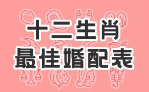 属虎暗藏贵人：兔狗马猪助运势