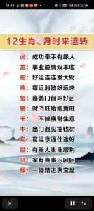 12月生肖运势：鼠牛虎好运频发，事业爱情双丰收！