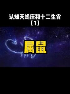 2024年生肖运势：鼠龙狮子天蝎事业大爆发！