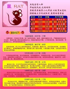 2024年12月3日生肖运势解析与生活建议