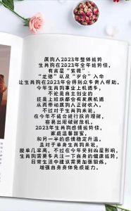2025中国生肖运势：鼠猴狗好运，龙人理财，抓住机遇！