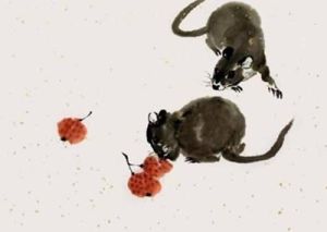 2025生肖运势：鼠龙狮子白羊旺，事业腾飞关键年！