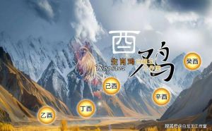 2025生肖鸡运势详解：事业腾飞，感情新机，注意安全