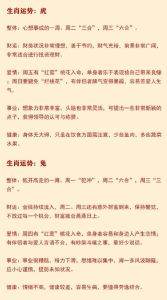 十二生肖今日运势详解：属鼠至猪理财事业指南