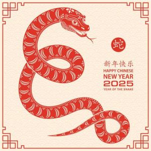 2025生肖运势：鼠牛虎兔新机遇挑战