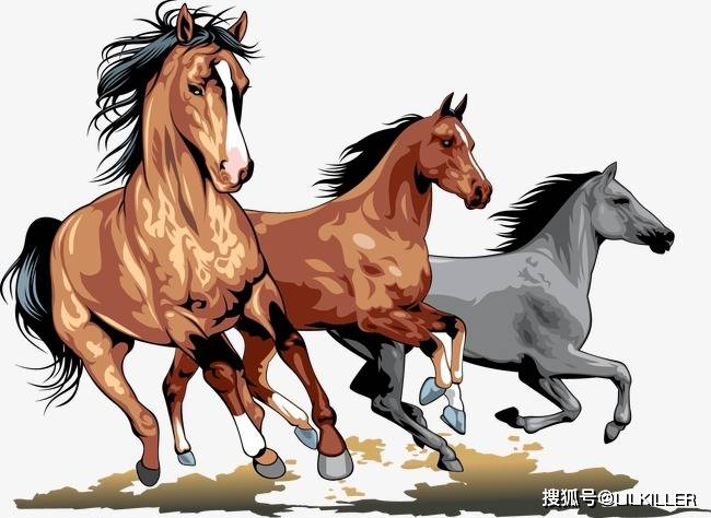 相学揭秘：六种面相特征预示财运佳，不止丰满脸！