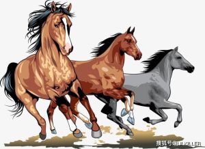相学揭秘：六种面相特征预示财运佳，不止丰满脸！