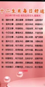 2024年运势大旺：五生肖事业财运亨通指南