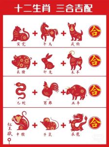 2024年12月生肖运势：鼠鸡蛇领跑，羊马需小心！
