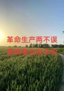 20天运势爆发：鼠兔龙猴转运季，事业爱情双丰收！