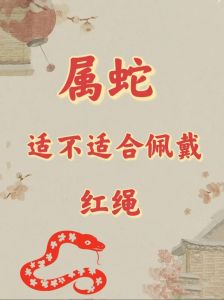 2025属蛇本命年乔迁风水指南