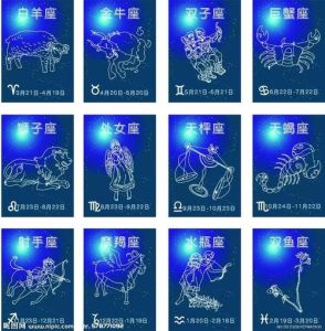 12月星座运势：射天秤双鱼摩羯丰收月
