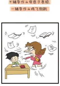 四生肖传奇：牛蛇猴狗的踏实成就之路