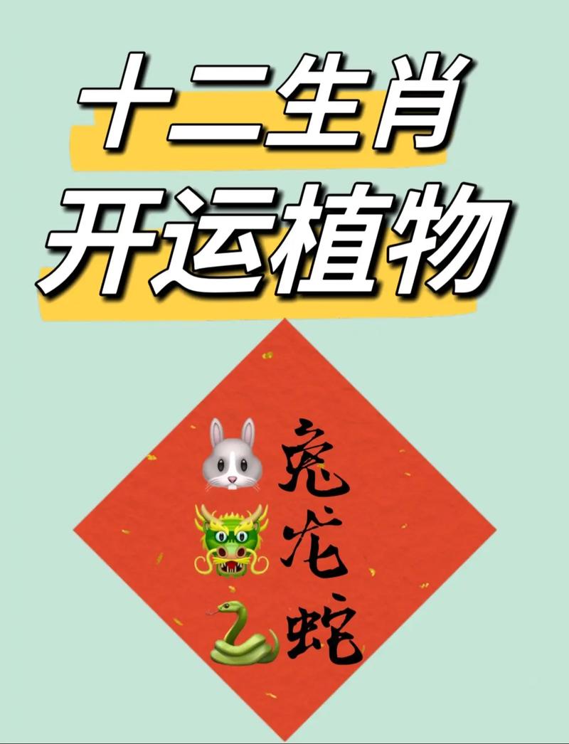 生肖兔龙蛇女性晚年富贵：魅力与智慧并重