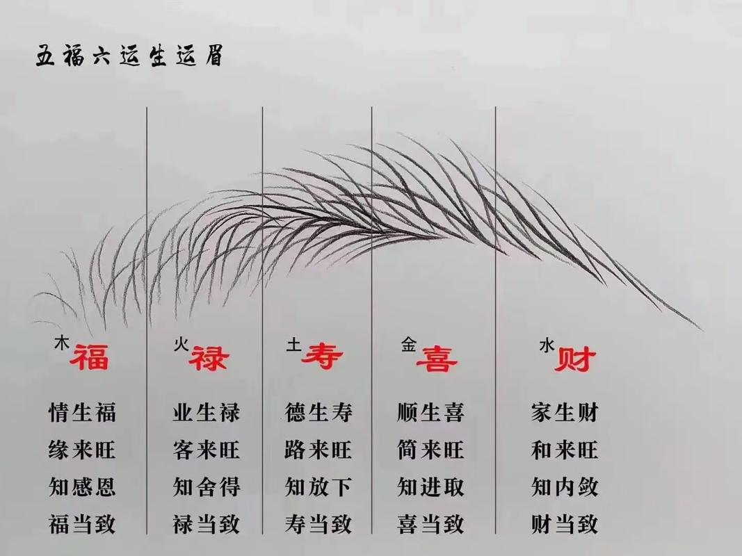 眉毛形状揭秘性格运势：了解自我独特魅力