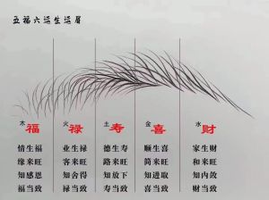 眉毛形状揭秘性格运势：了解自我独特魅力