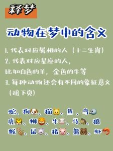 解密梦境动物象征：吉祥寓意与生活启示