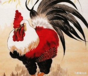 12月生肖鸡蛇牛运势飙升：30天好运期，保持乐观迎福至！