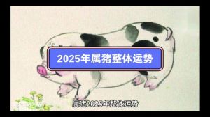 2024属猪12月运势：丰收期职场高峰爱情降临