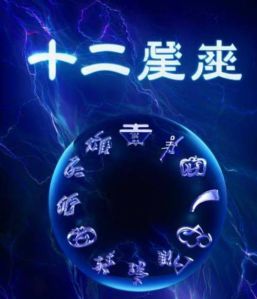 12月生肖运势：龙马猴猪好运来，成功需努力！