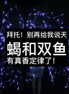2025年生肖运势：鼠龙天蝎双鱼，事业爱情双丰收