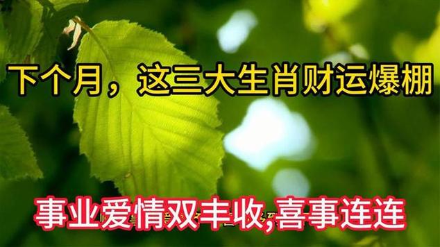 生肖智慧：揭秘事业爱情双丰收之道