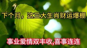 生肖智慧：揭秘事业爱情双丰收之道