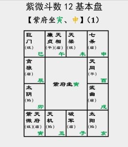 2024年12月运势：紫微斗数揭秘感情事业财运