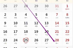 2024生肖运势：龙蛇虎兔运势详解及突破之道
