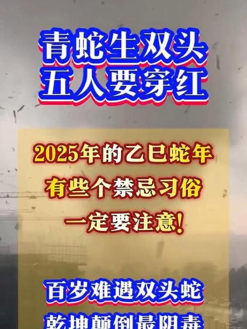 2025双头蛇年运势解析：生肖鸡猴牛龙大吉，喜上加喜年景旺