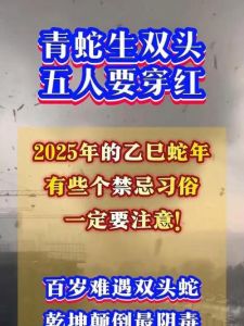 2025双头蛇年运势解析：生肖鸡猴牛龙大吉，喜上加喜年景旺