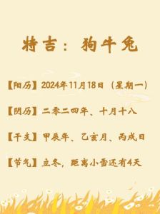 属相运势揭秘：龙马猴猪成功之道