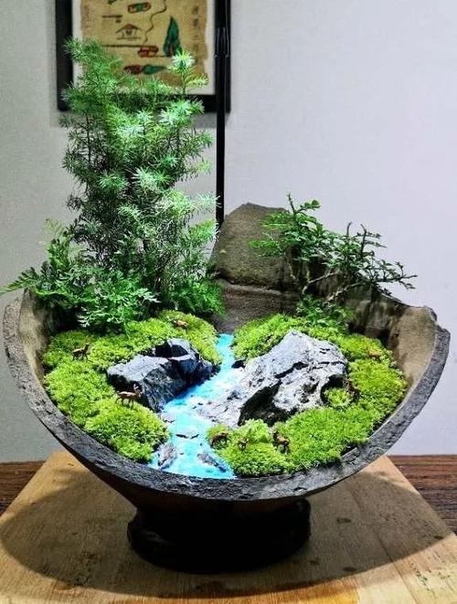 家居雅物风水：微景观园艺提升生活品质与好运气