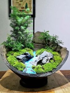 家居雅物风水：微景观园艺提升生活品质与好运气