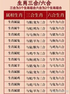 2024生肖运势：龙羊虎兔机遇与挑战并存